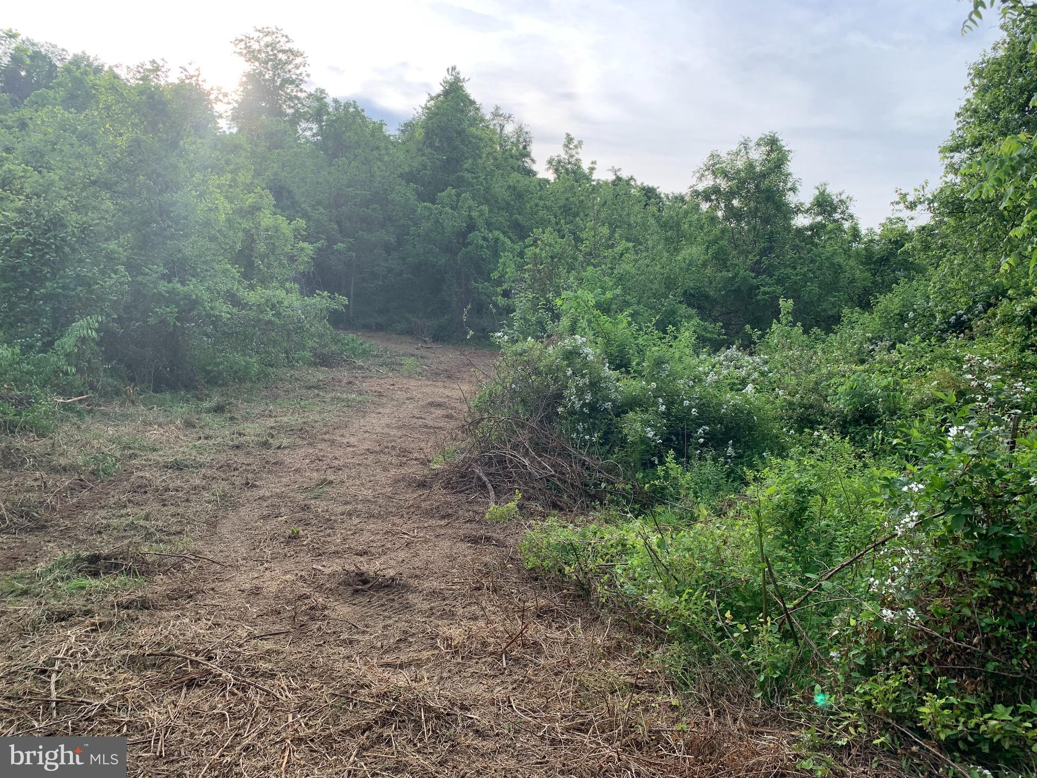0 Wapping Farm Road, Unit LOT 7 Front Royal, VA 22630 - Photo 10 of 41 a view of a covered with trees in the background