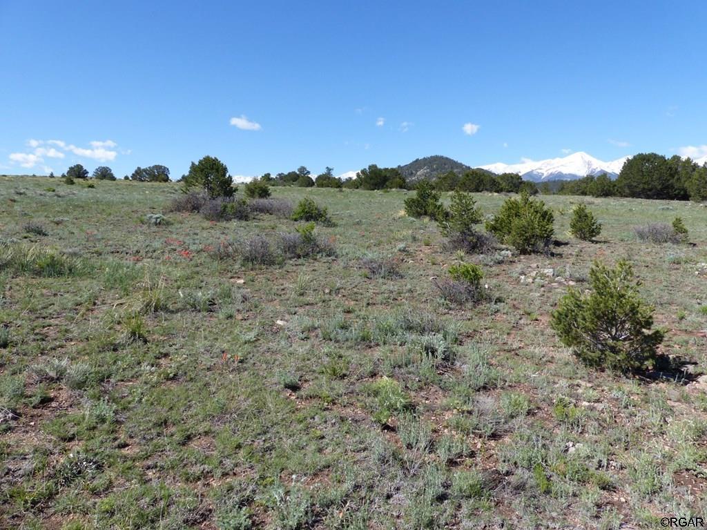 L45 Roundup Road Westcliffe, CO 81252 - Photo 25 of 25 Gallery Image 25