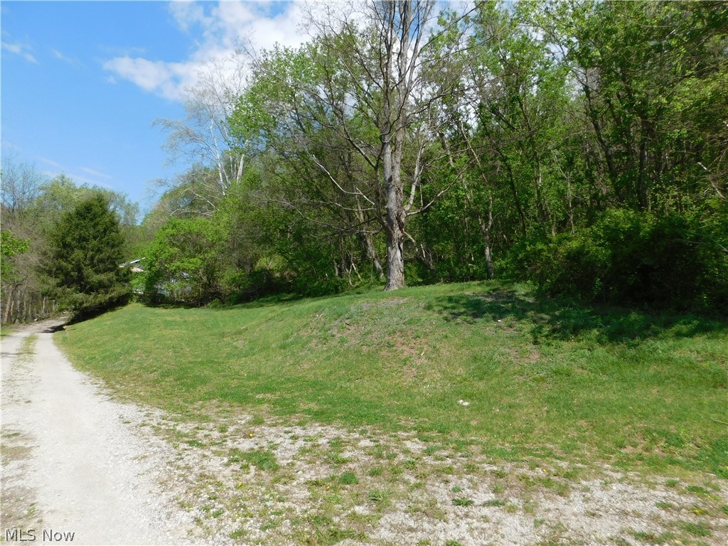 68250 Wrixon Road Bridgeport, OH 43912 - Photo 23 of 27