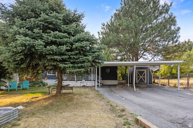 271 Mindella Way Layton, UT 84041 - Photo 26 of 27 Property featuring a covered carport, exterior storage shed, and a prominent evergreen tree