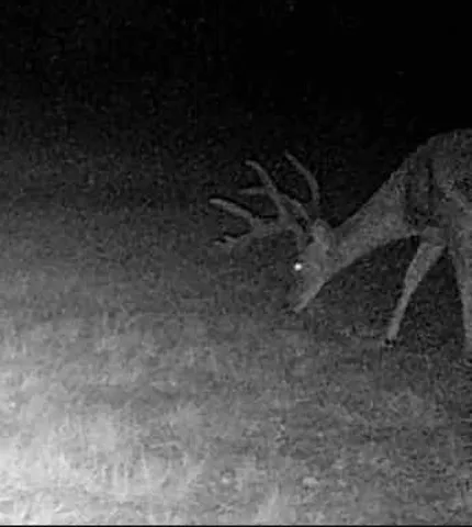 a close up of a sink