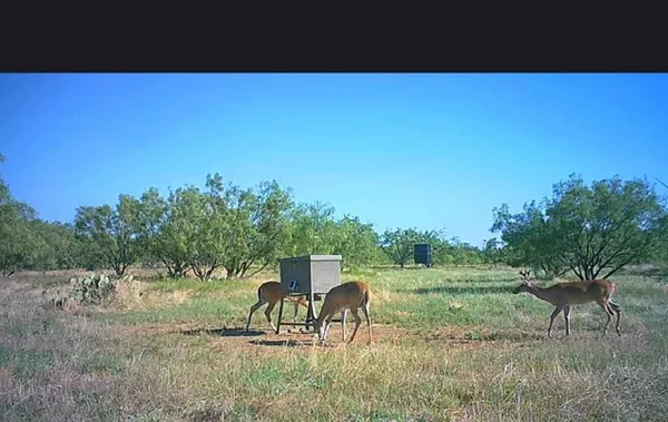 a view of a outdoor space