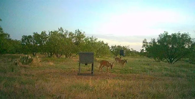 a view of a lake with a yard