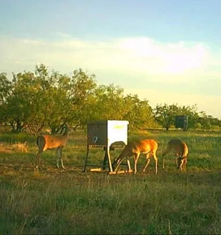 a view of a lake from a yard