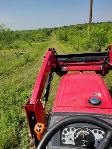 a view of a garden with a tree