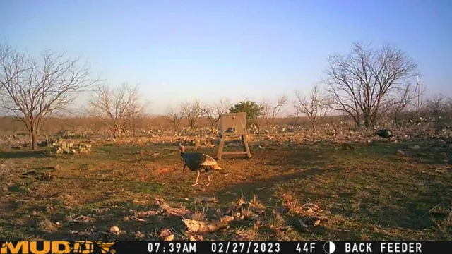 a view of yard with tree and a wooden fence
