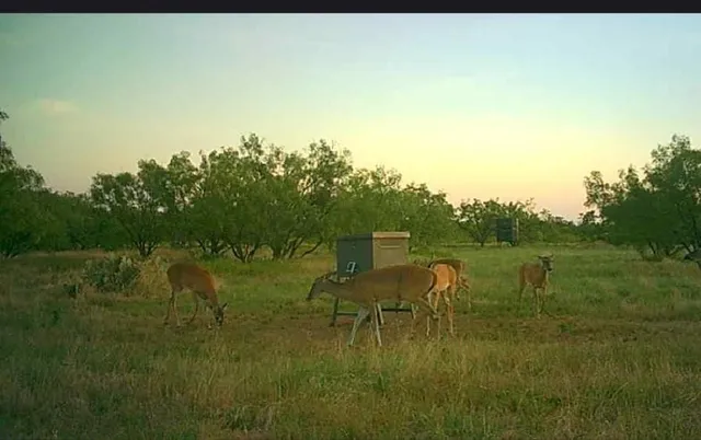 a view of a lake with a yard
