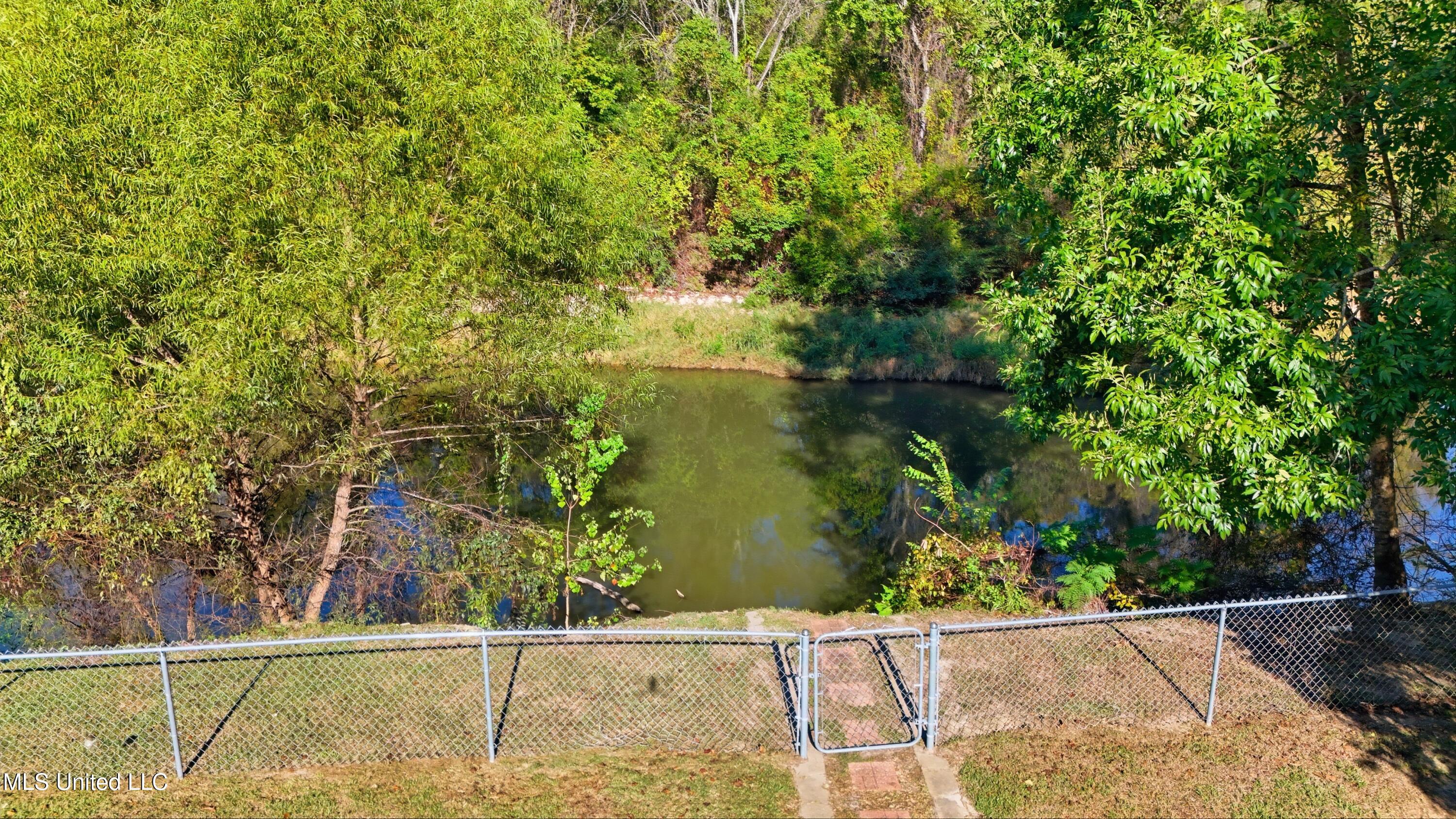 54 Oak Point Road Picayune, MS 39466 - Photo 26 of 27 PEARL RIVER FROM BACK YARD