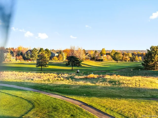 a view of a park with lots of trees