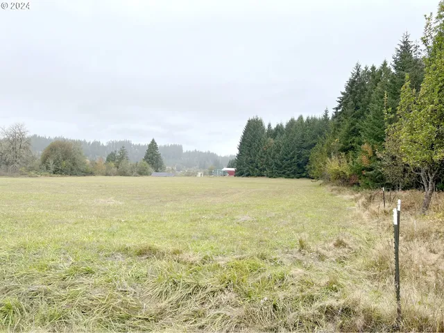 $350,000 | 67640 Neverstill Road, Birkenfeld, OR 97016