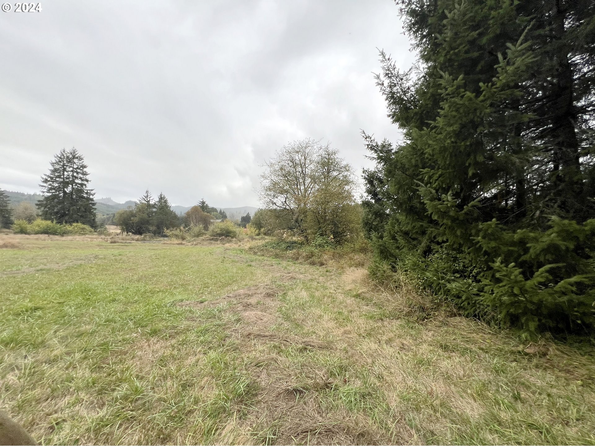 67640 Neverstill Road Birkenfeld, OR 97016 - Photo 12 of 19