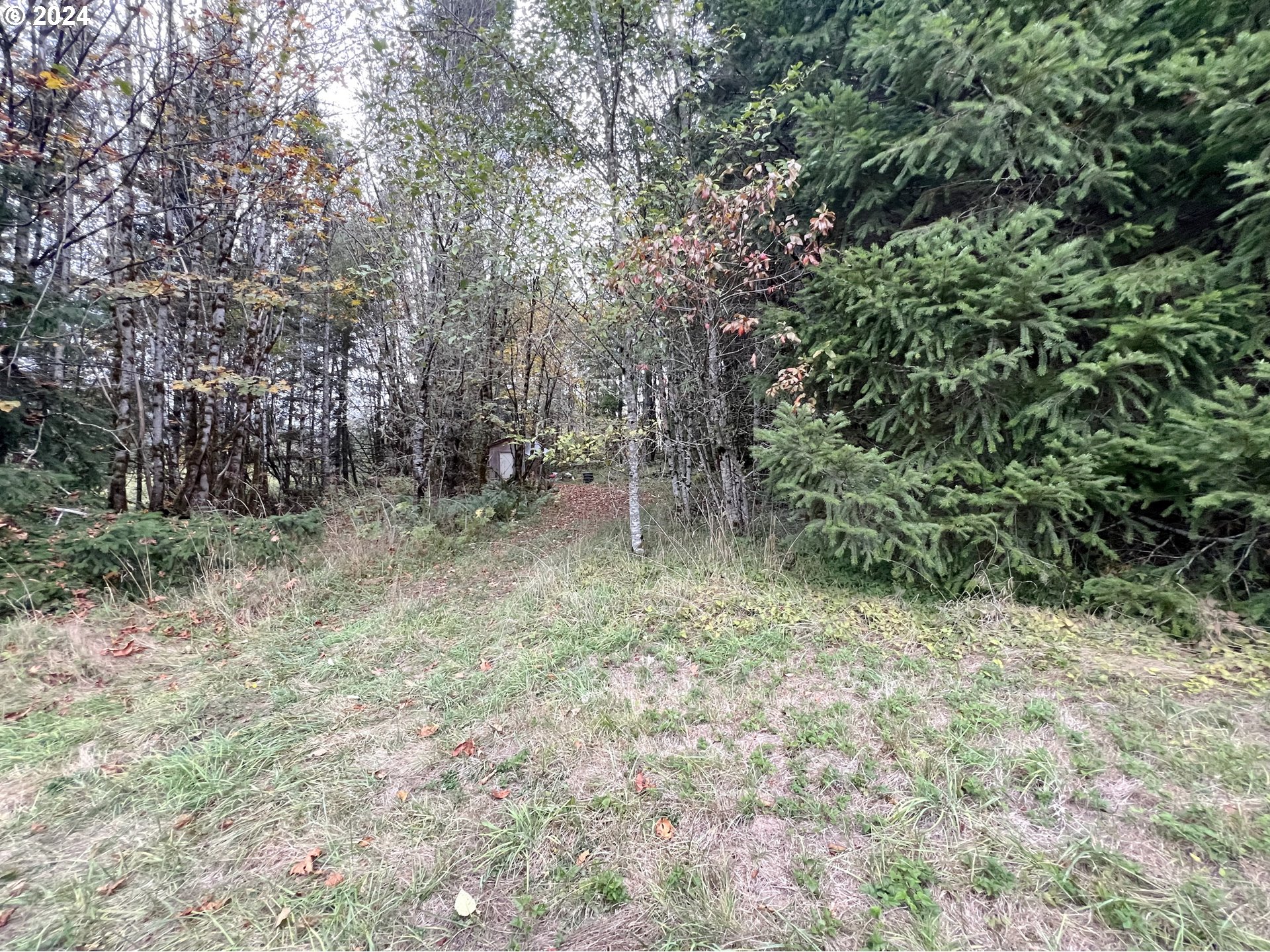 67640 Neverstill Road Birkenfeld, OR 97016 - Photo 13 of 19