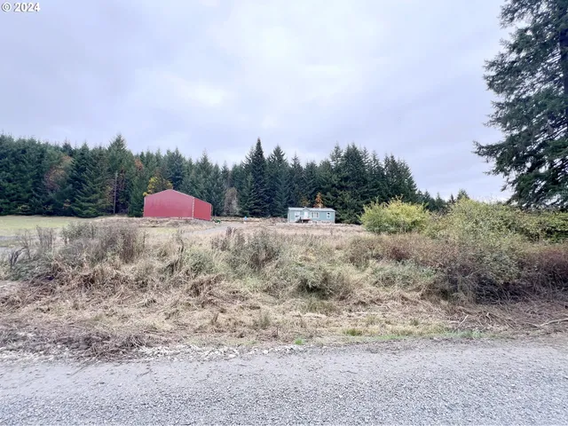 $350,000 | 67640 Neverstill Road, Birkenfeld, OR 97016