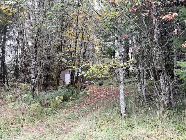 $350,000 | 67640 Neverstill Road, Birkenfeld, OR 97016