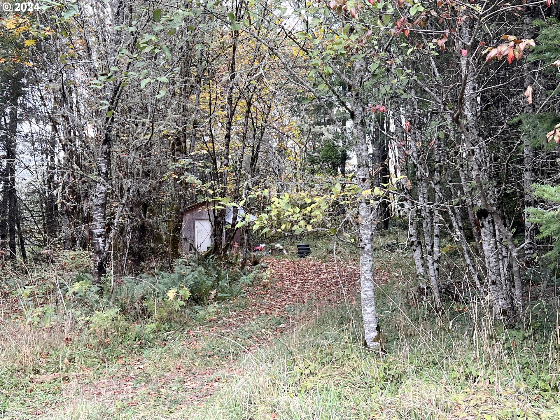 67640 Neverstill Road Birkenfeld, OR 97016 - Photo 19 of 19