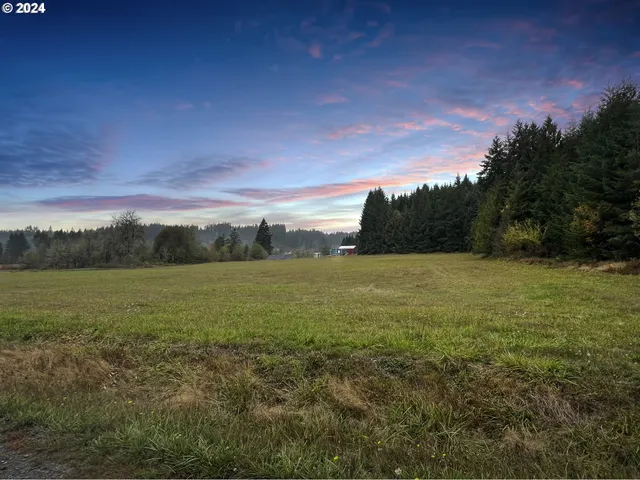 $350,000 | 67640 Neverstill Road, Birkenfeld, OR 97016