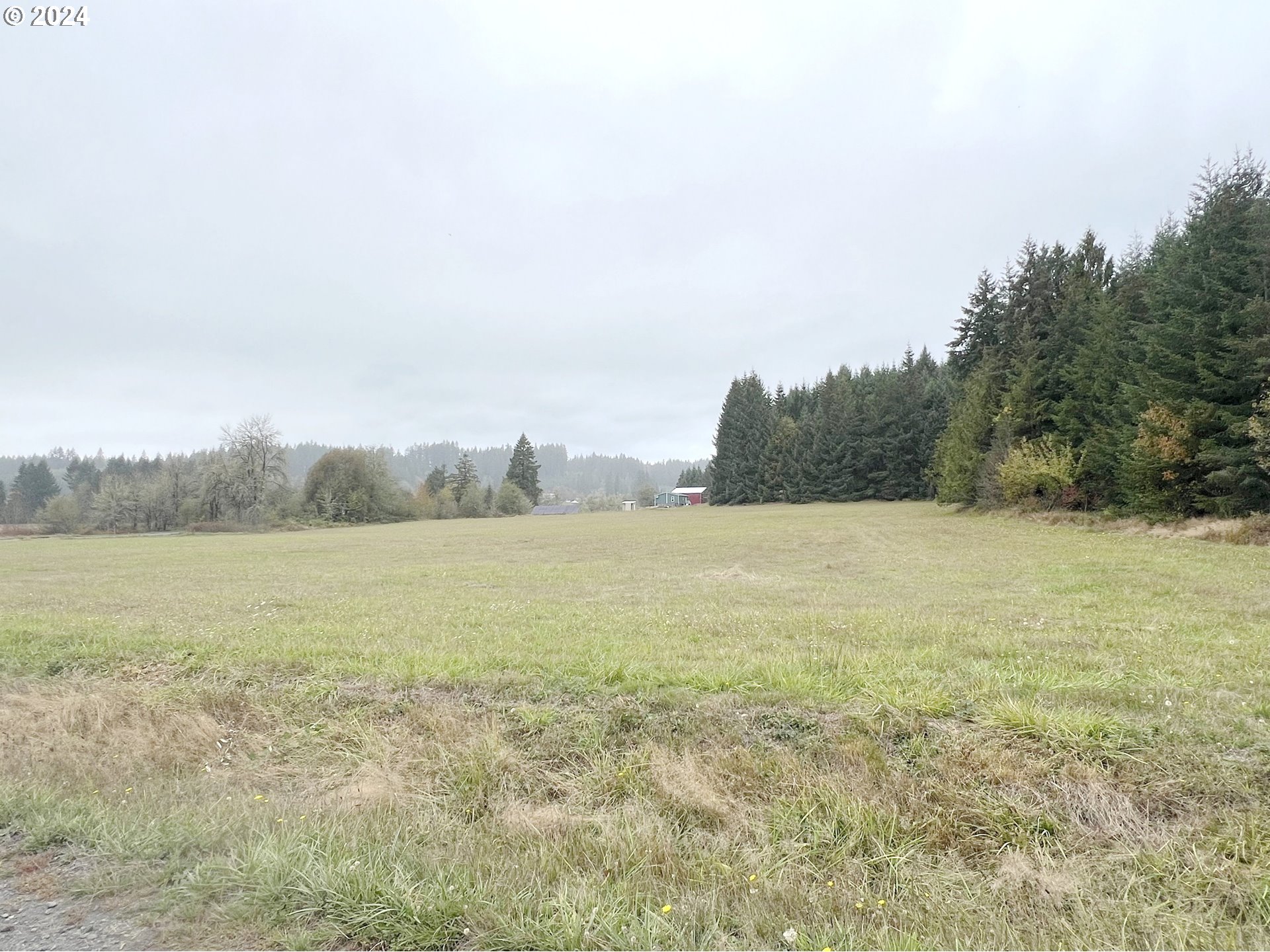 67640 Neverstill Road Birkenfeld, OR 97016 - Photo 8 of 19