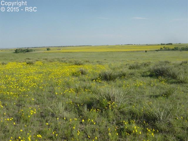1 South Log Road Peyton, CO 80831 - Photo 14 of 25