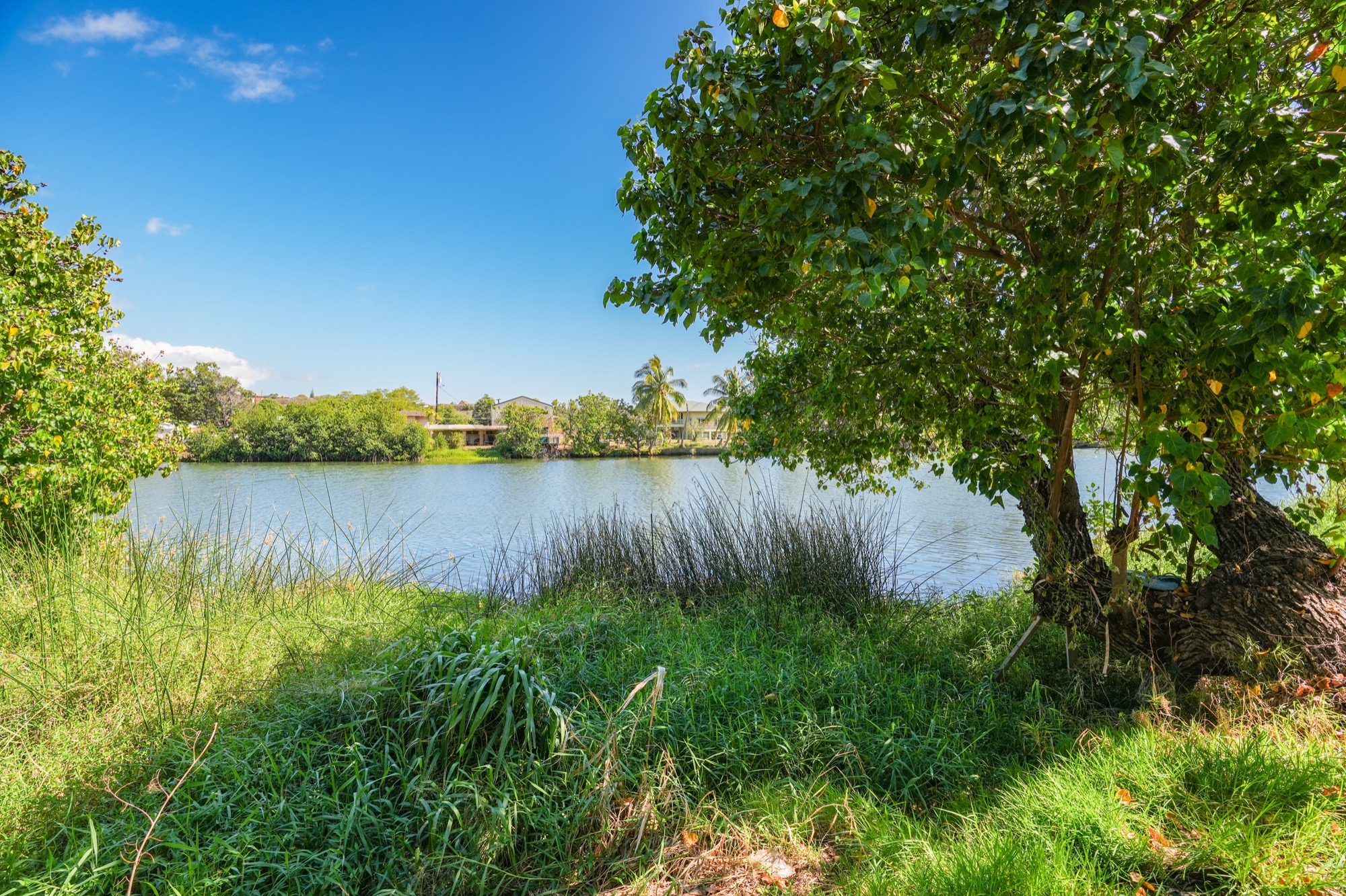 a view of a lake view with a garden