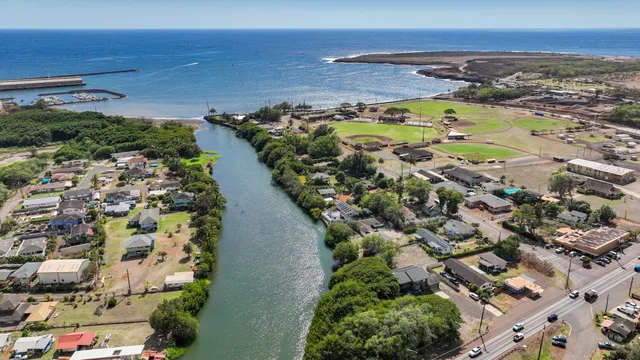 a view of a yard with an trees