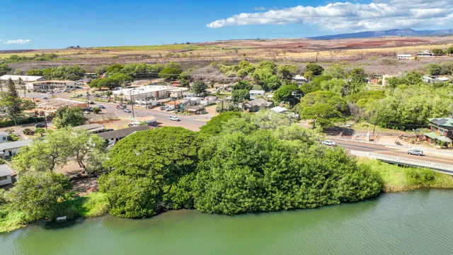 a view of a backyard with table and chairs and a large tree
