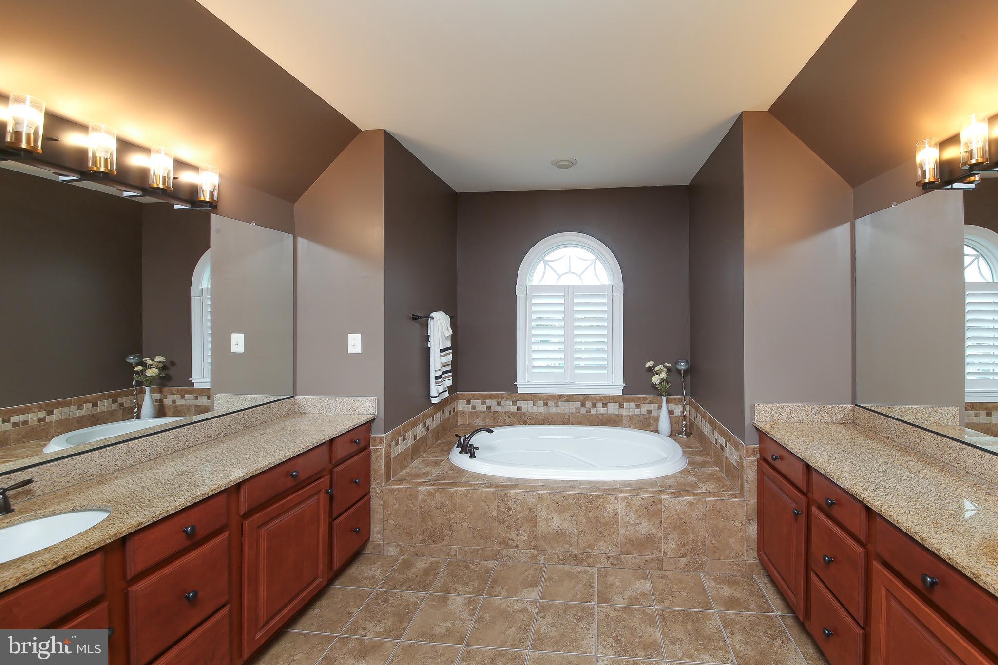342 Alexander Drive Telford, PA 18969 - Photo 17 of 31 a spacious bathroom with a granite countertop sink a mirror and a bathtub