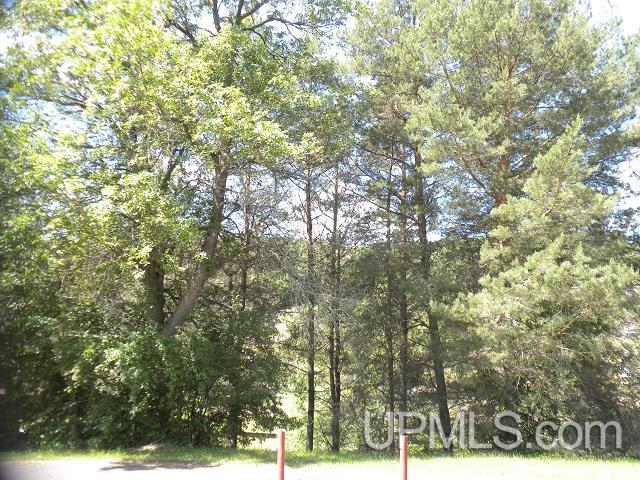 N10350 North River Street Ramsay, MI 49959 - Photo 22 of 27