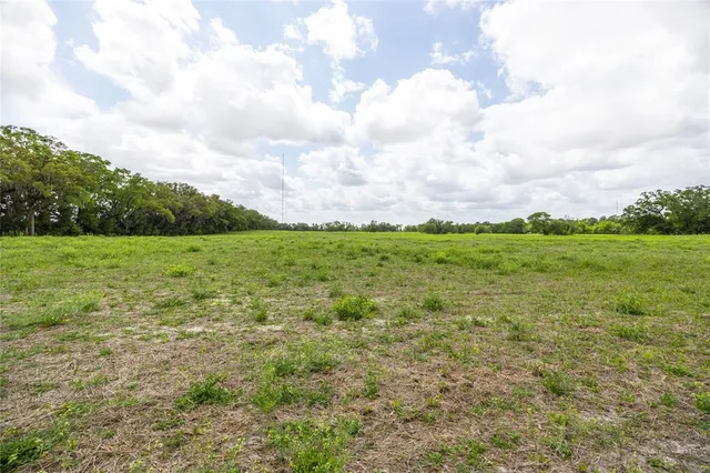 a view of a green field with lots of green space