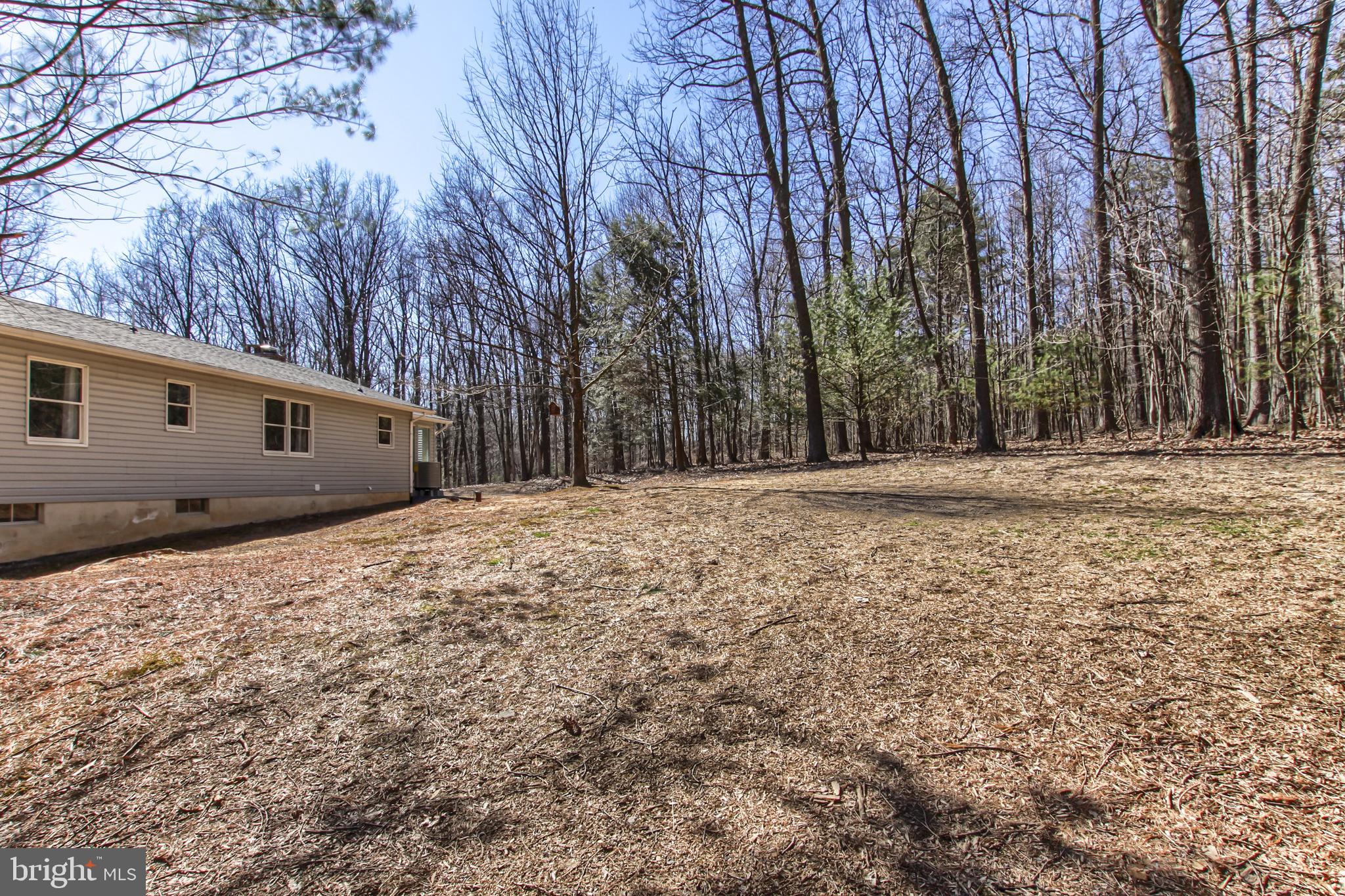 1055 Bower Road Shermans Dale, PA 17090 - Photo 6 of 30 Back Yard View