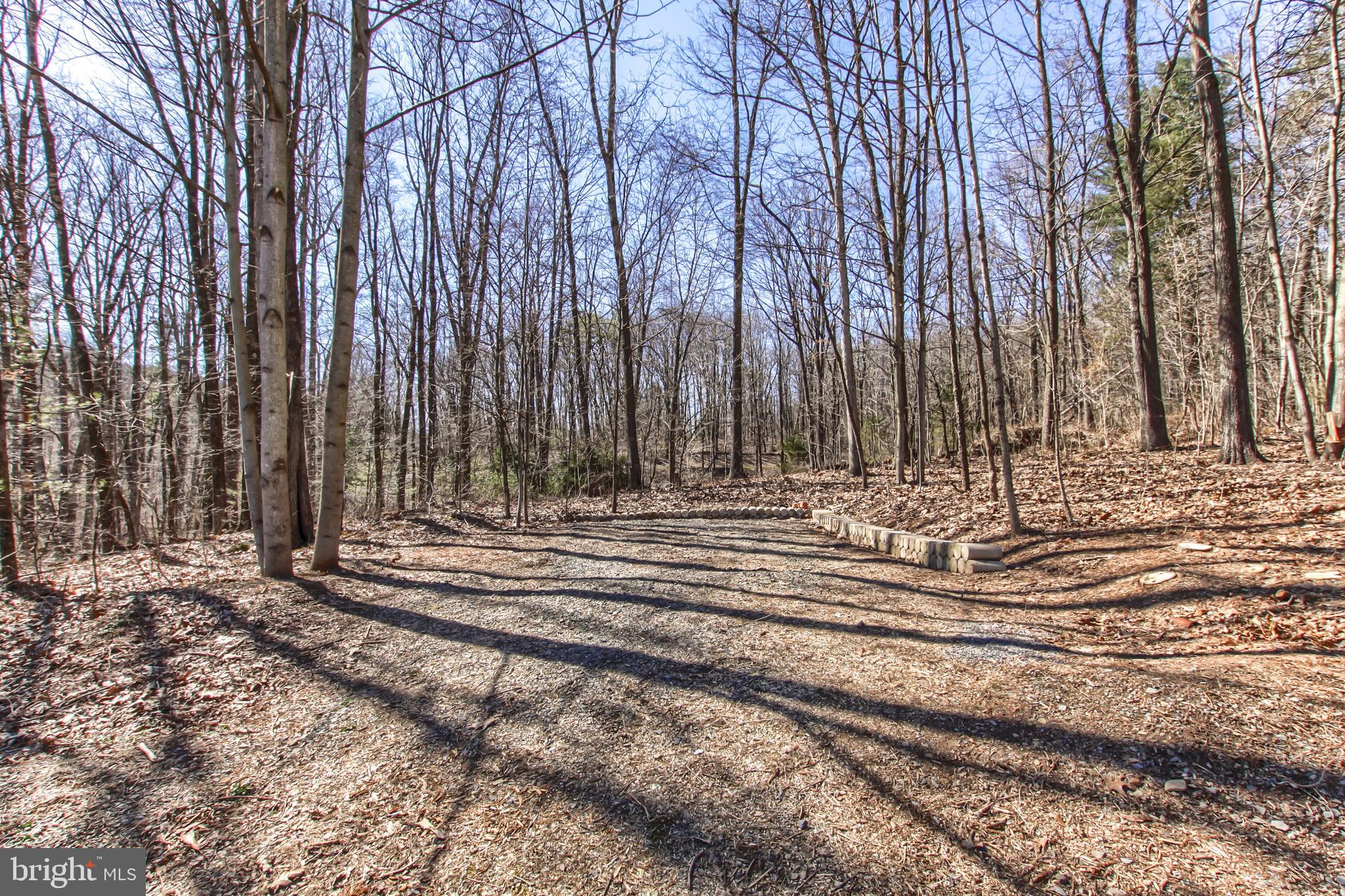 1055 Bower Road Shermans Dale, PA 17090 - Photo 7 of 30 Driveway and additional Parking