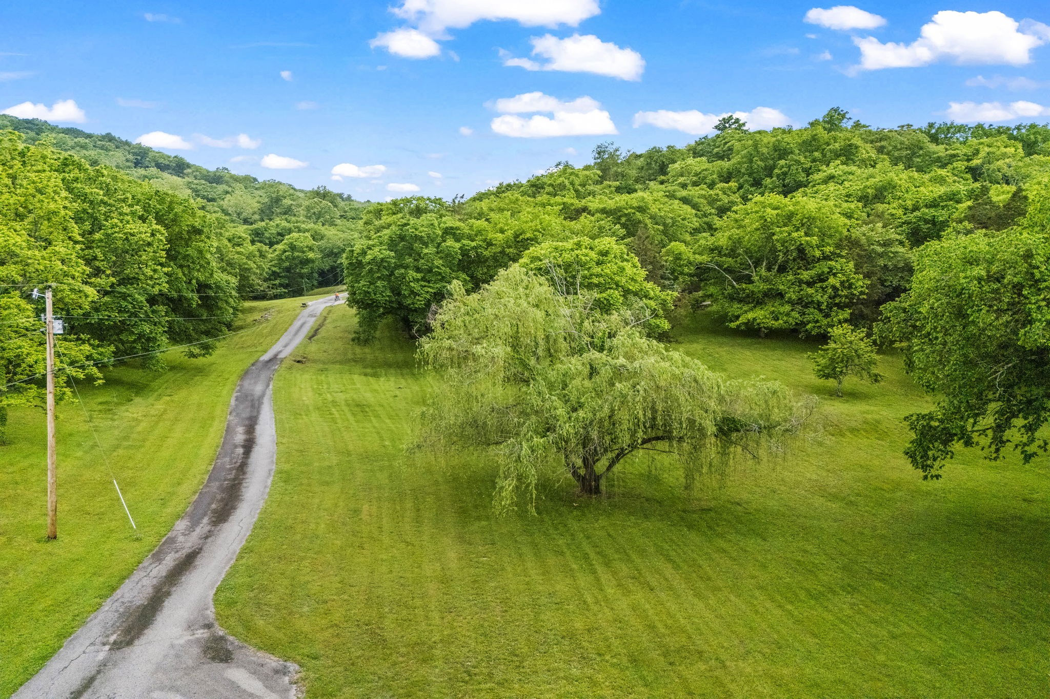 6437 Arno Road College Grove, TN 37046 - Photo 43 of 77 Gallery Image 43