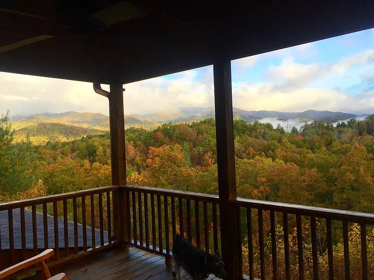 300 Knob Hl Road Marble, NC 28905 - Photo 2 of 46 Gallery Image 2
