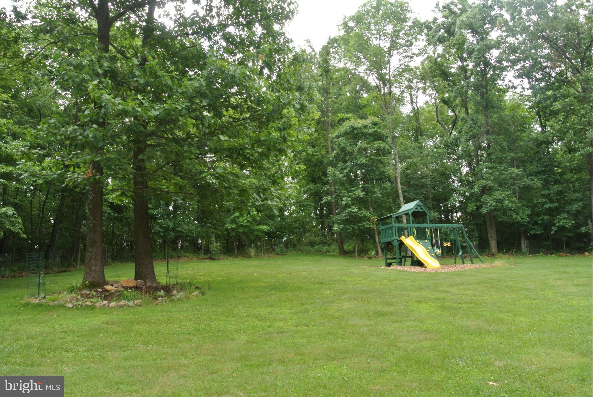 173 Cotton Ridge Road Winchester, VA 22603 - Photo 5 of 28 a view of a backyard with a slide