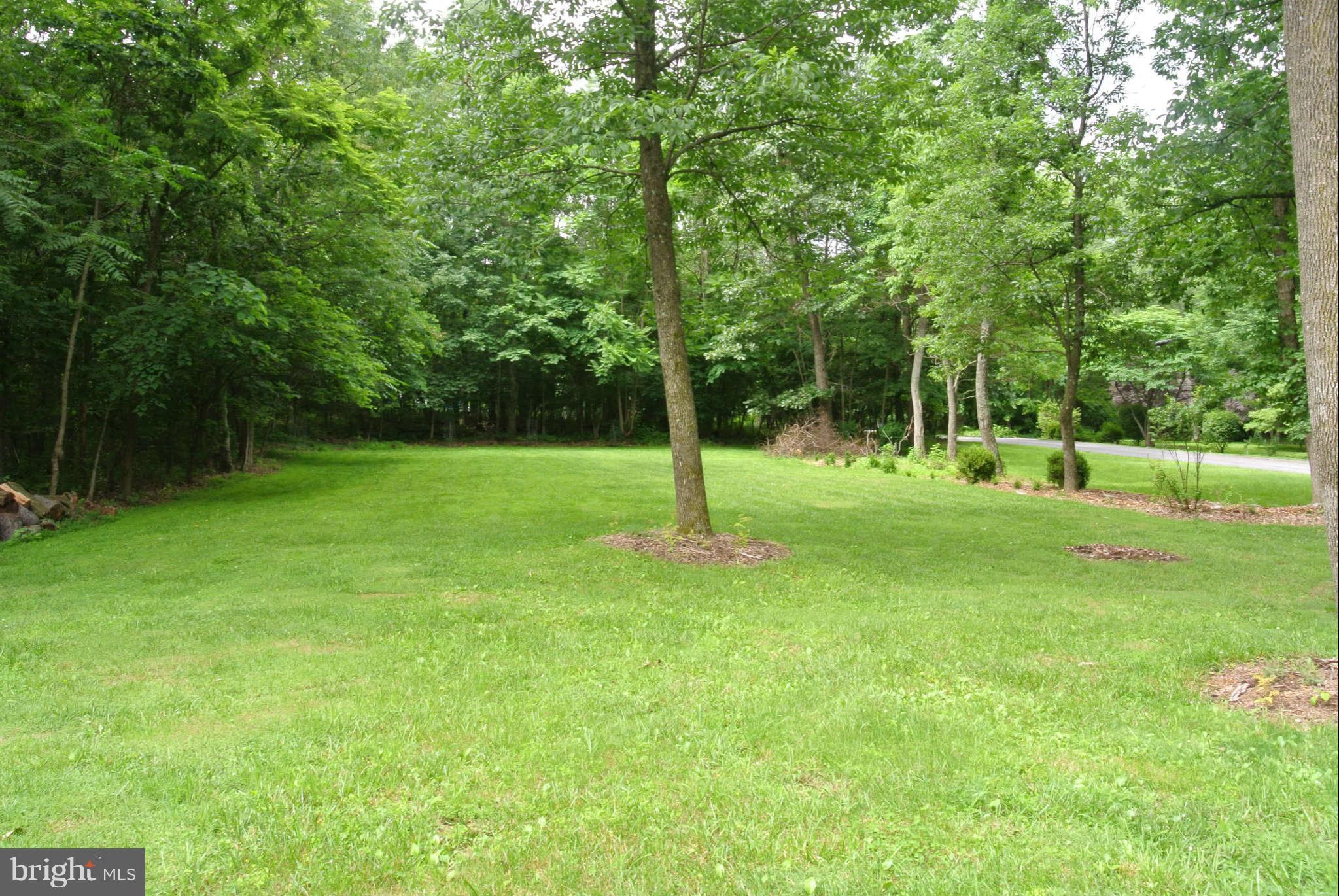 173 Cotton Ridge Road Winchester, VA 22603 - Photo 7 of 28 a view of a park with a tree