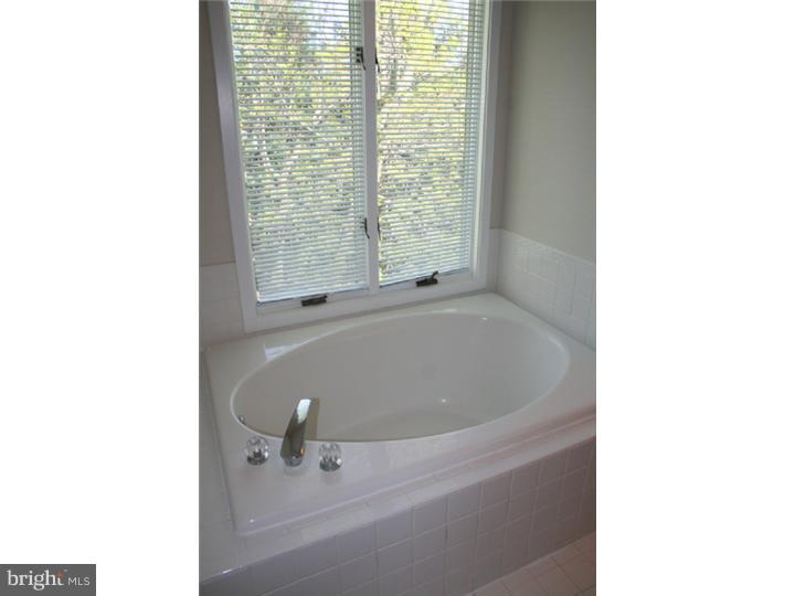 267 Spring Run Lane Downingtown, PA 19335 - Photo 22 of 25 Master Bathroom