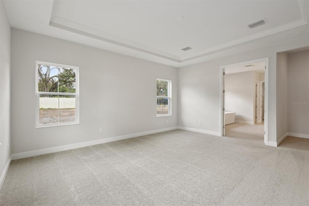 4630 Cedar Fog Court Valrico, FL 33596 - Photo 5 of 30