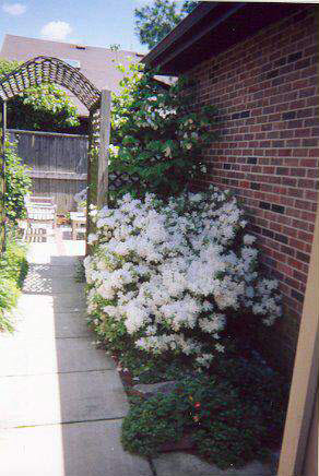 3400 West Riggin Road, Unit 3400 W 19 Muncie, IN 47304 - Photo 9 of 9 Gallery Image 9