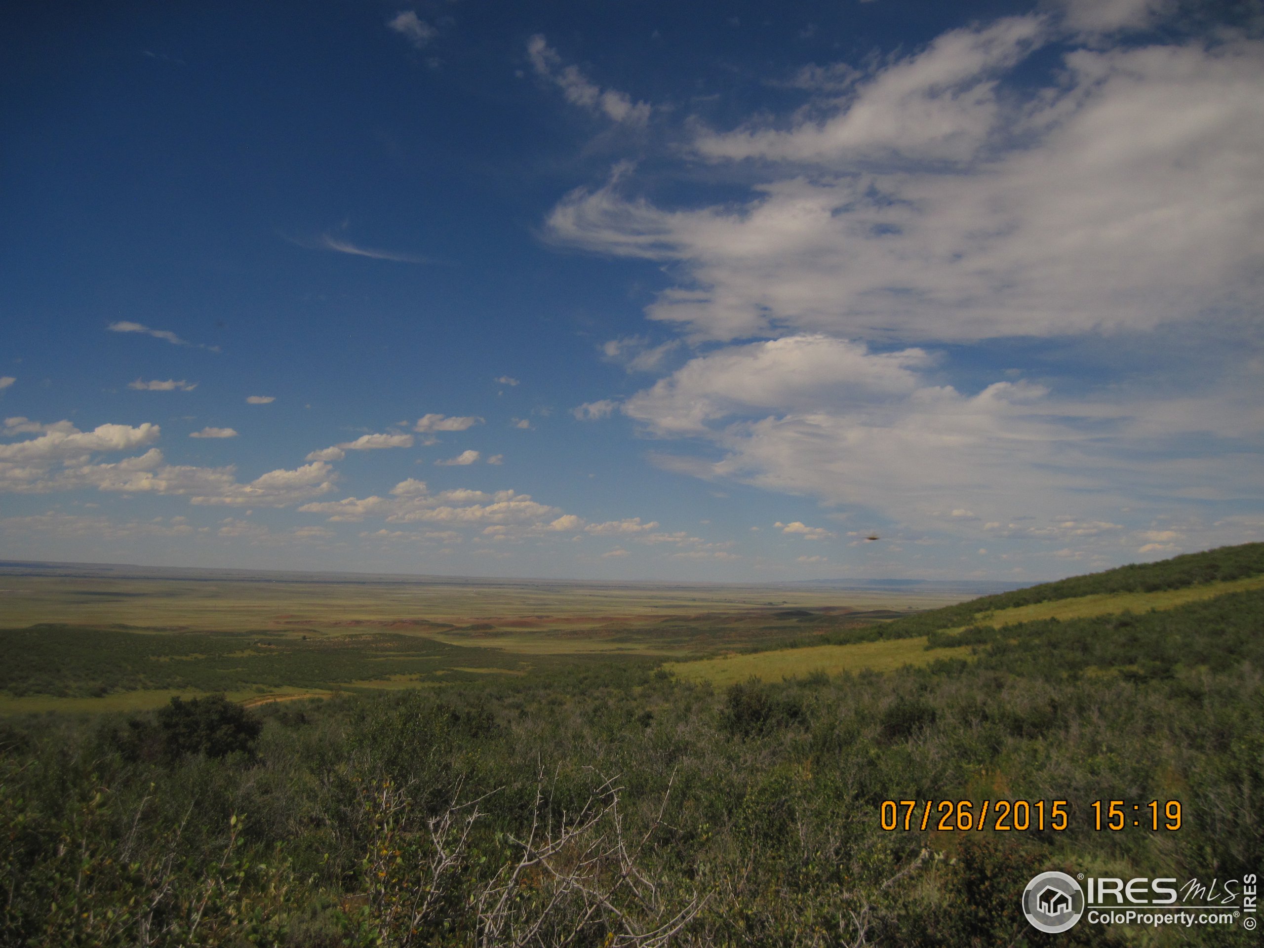 0 Windy Ridge Road Livermore, CO 80536 - Photo 23 of 24 Gallery Image 23