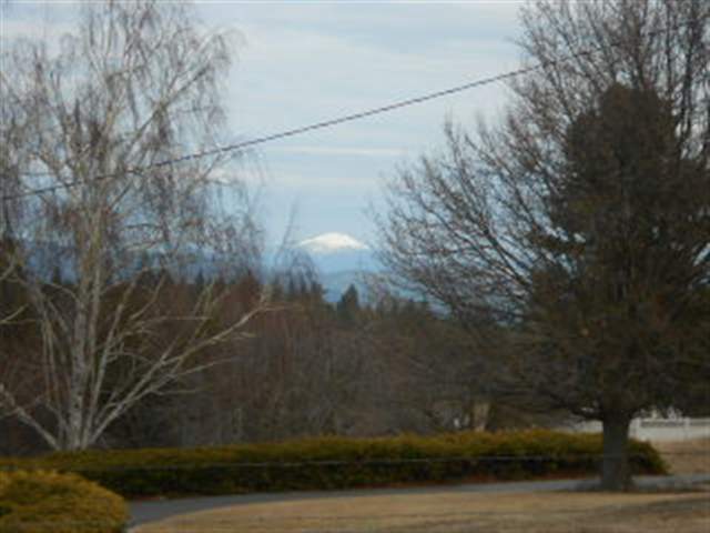 0 South Chapman Road Greenacres, WA 99016 - Photo 4 of 7 Gallery Image 4