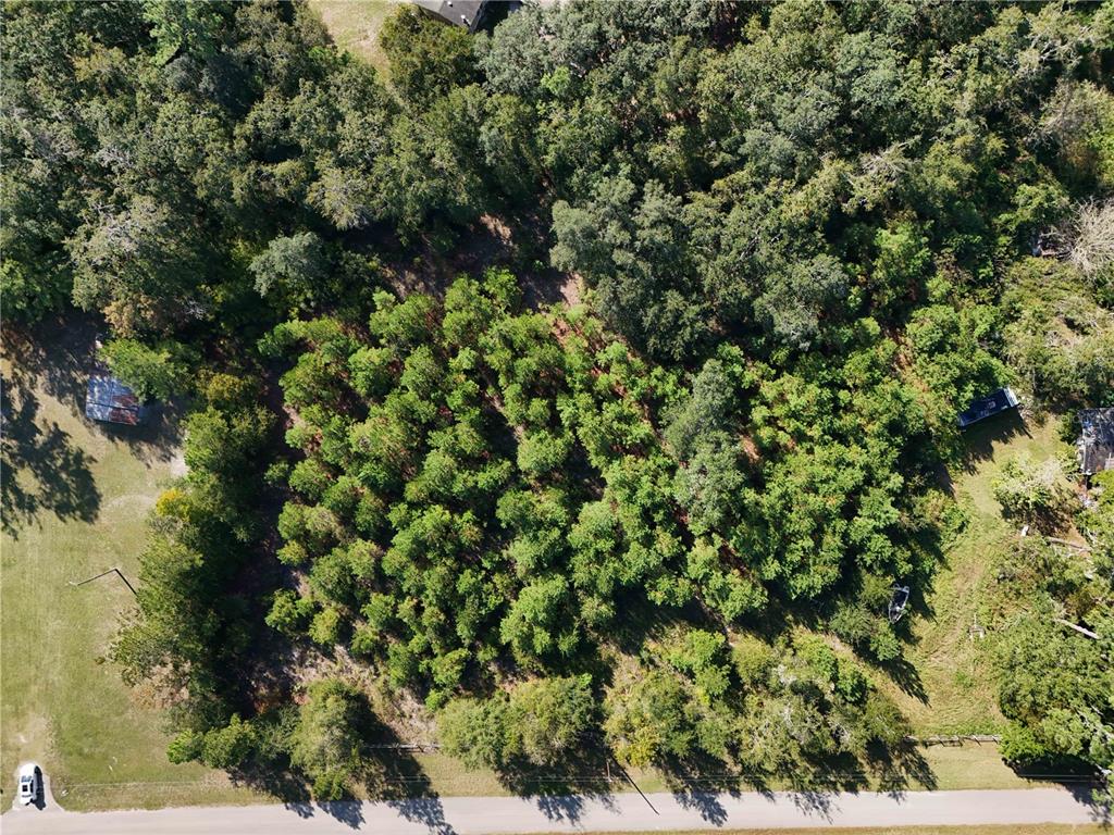 71st Way Lake Lake Butler, FL 32054 - Photo 5 of 8