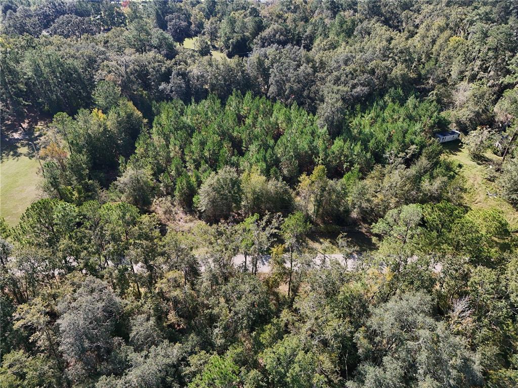 71st Way Lake Lake Butler, FL 32054 - Photo 7 of 8