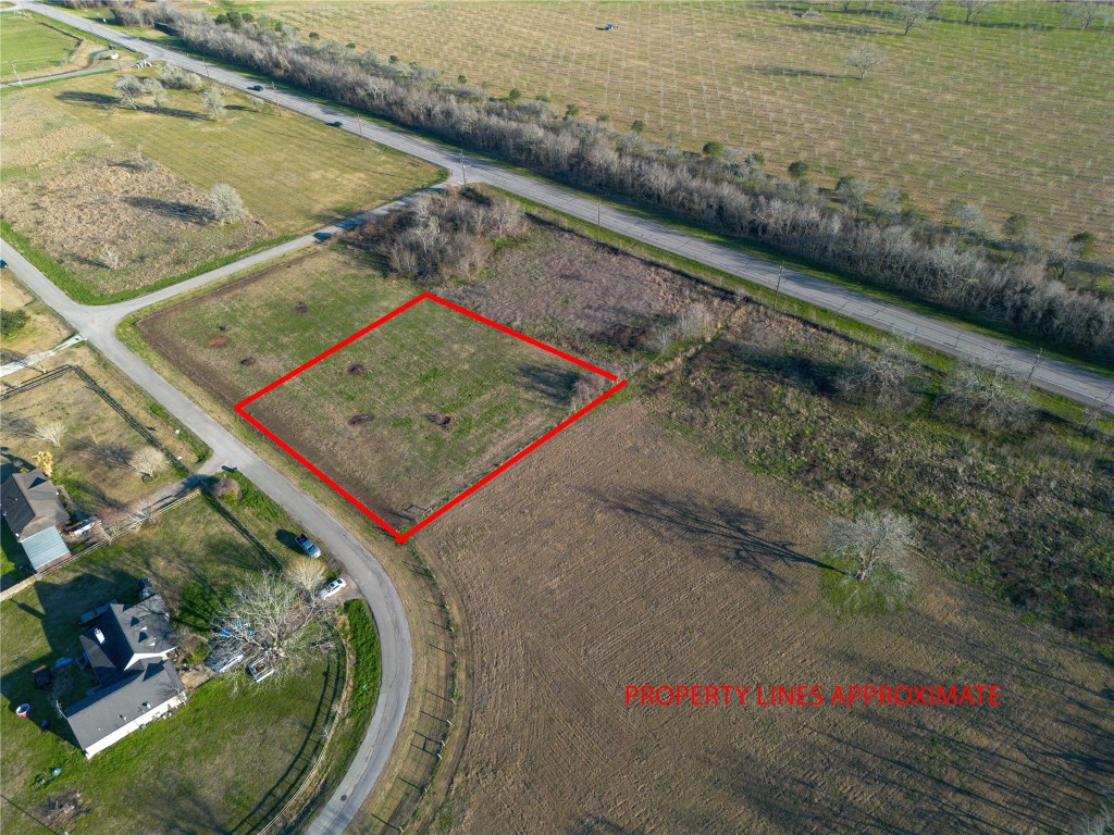 219 Pony Lane Simonton, TX 77485 - Photo 2 of 10