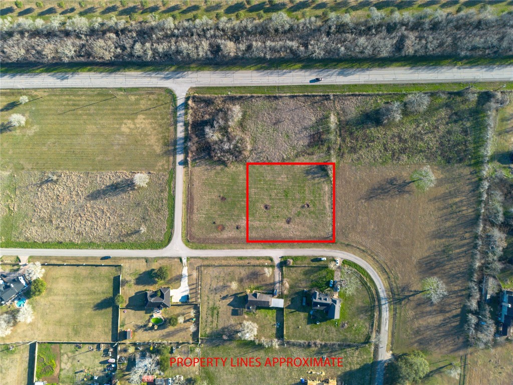 219 Pony Lane Simonton, TX 77485 - Photo 4 of 10