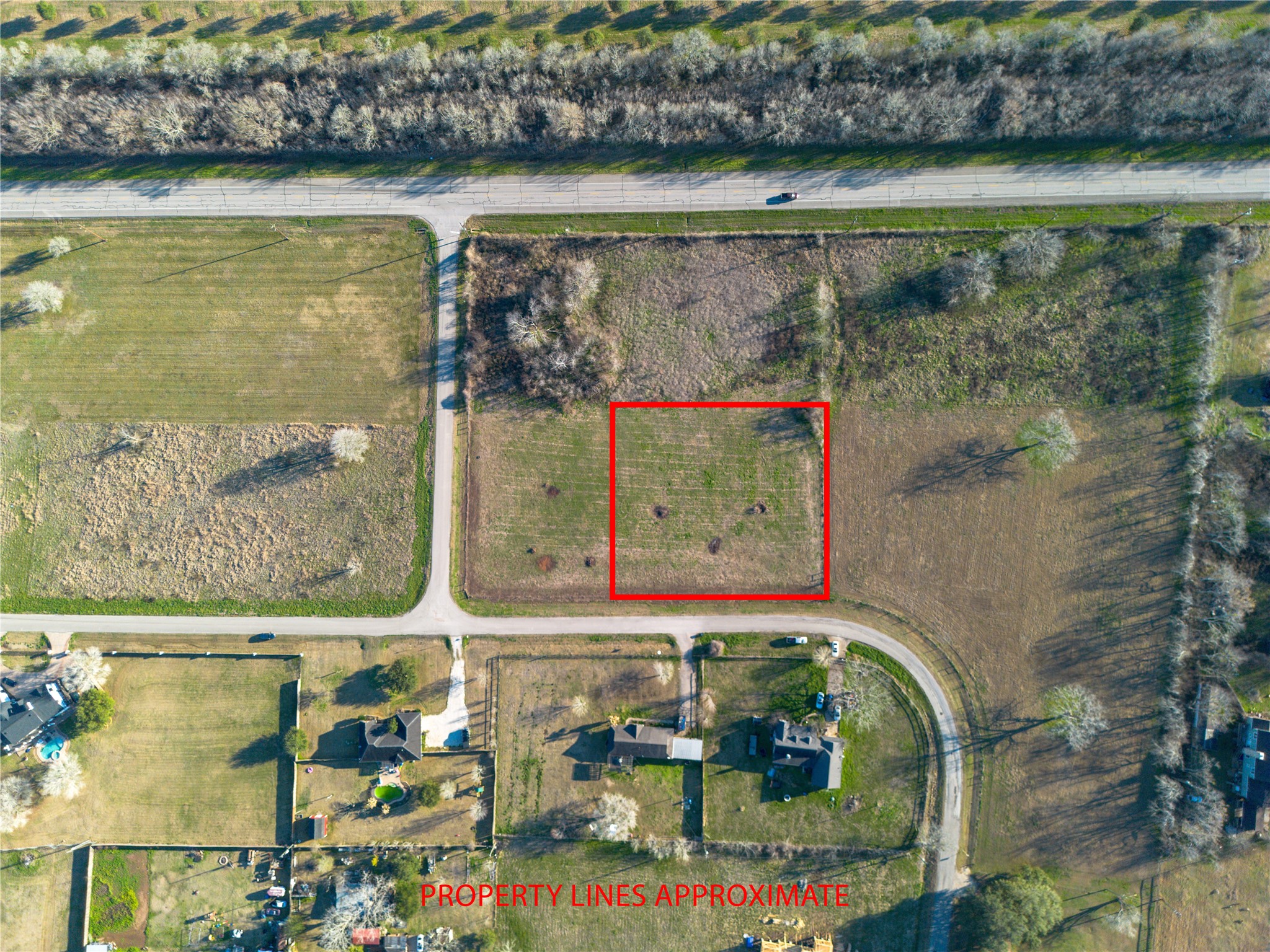 219 Pony Lane Simonton, TX 77485 - Photo 4 of 10