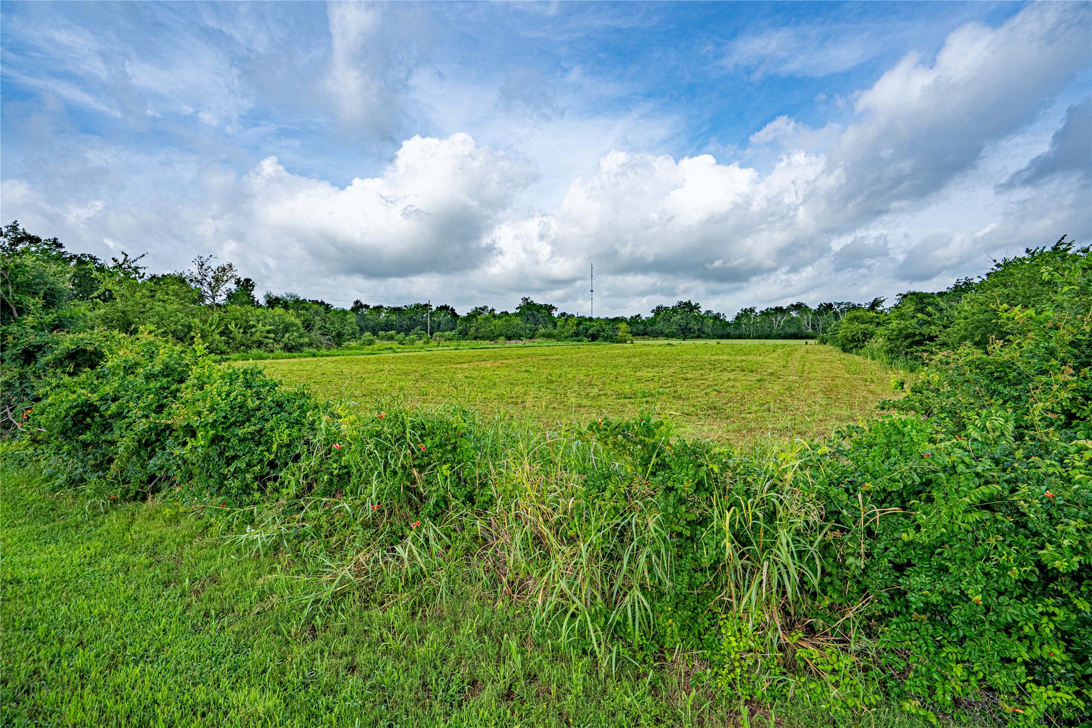 219 Pony Lane Simonton, TX 77485 - Photo 6 of 8 a view of an outdoor space and a yard