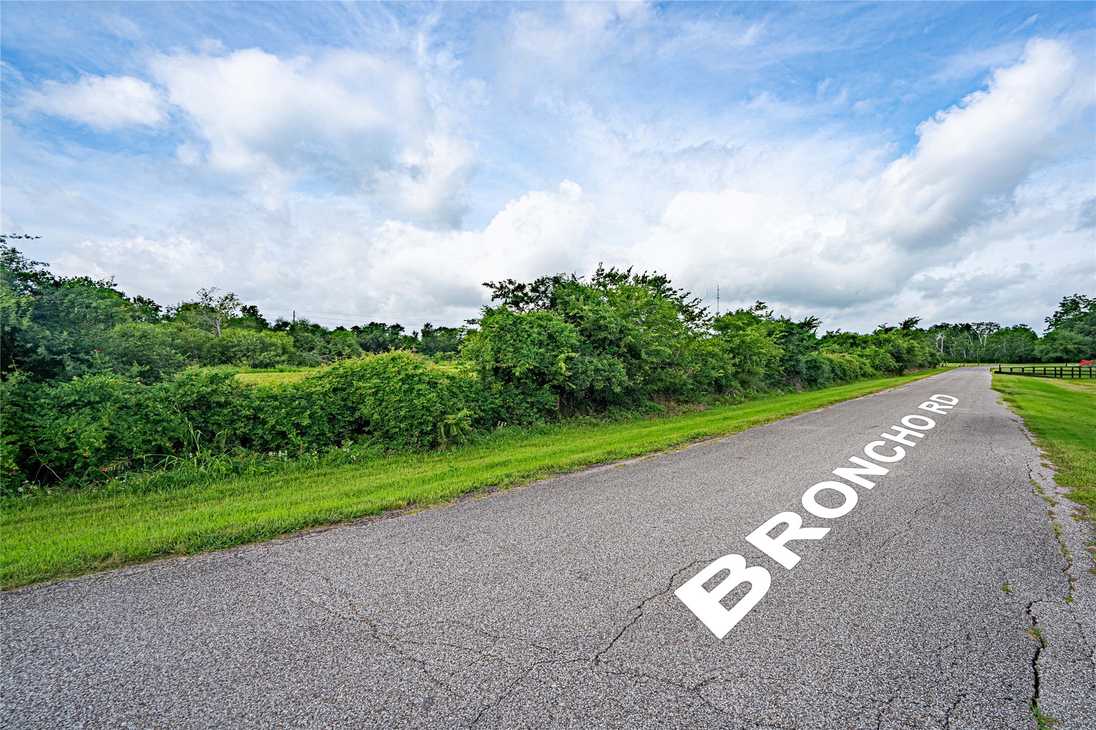 219 Pony Lane Simonton, TX 77485 - Photo 7 of 8 a view of a street with a big yard