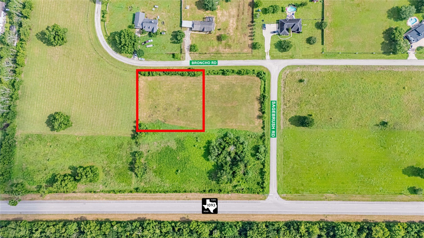 219 Pony Lane Simonton, TX 77485 - Photo 9 of 10