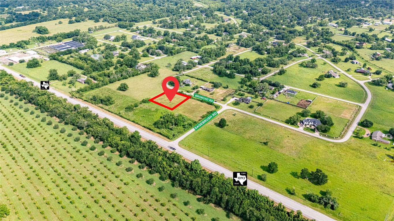 219 Pony Lane Simonton, TX 77485 - Photo 10 of 10