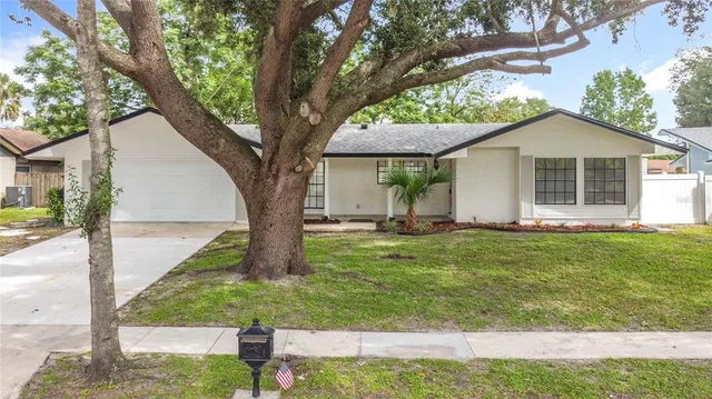 a view of a house with backyard and a tree