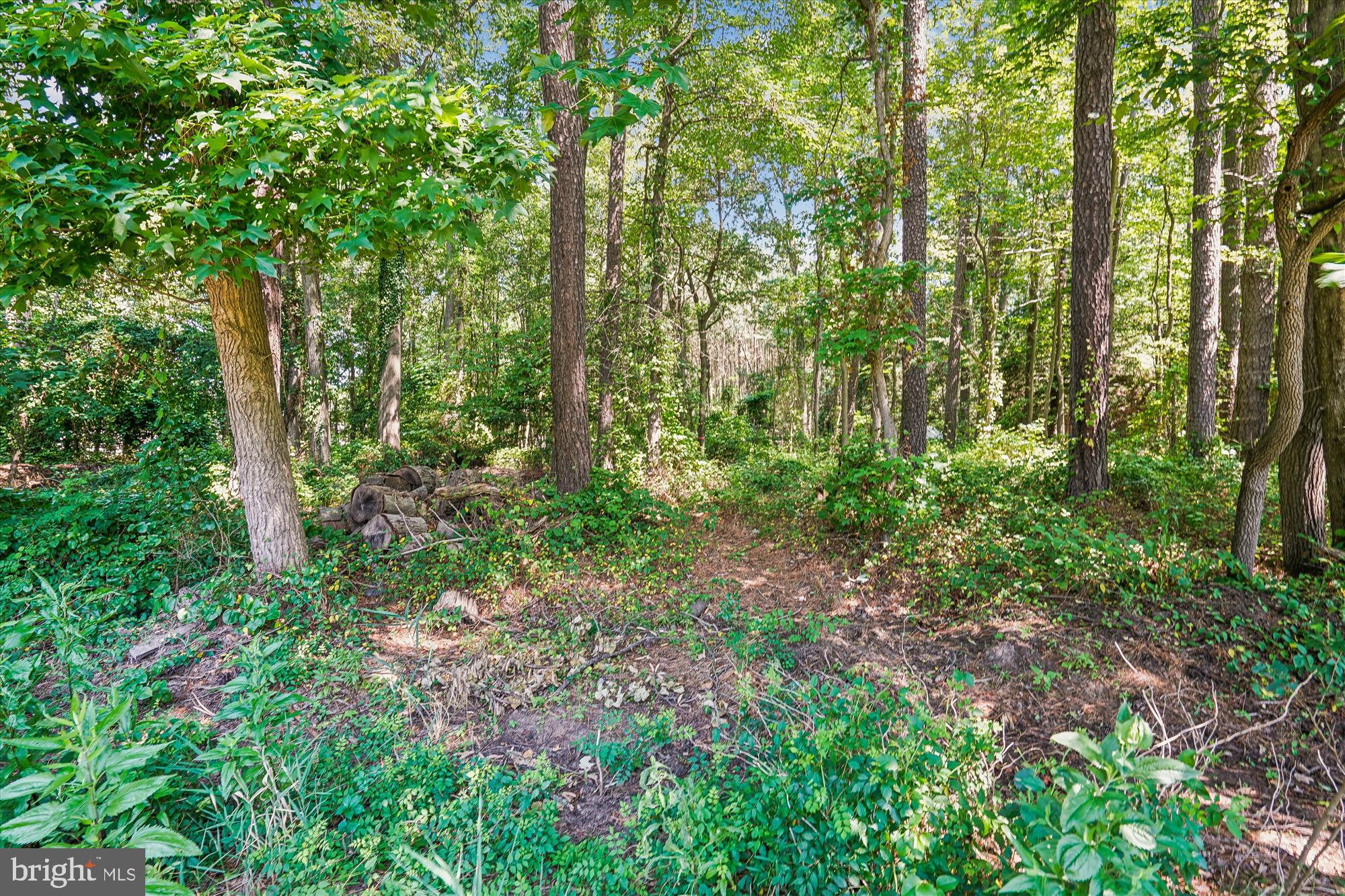 118 Queens Colony High Road Stevensville, MD 21666 - Photo 17 of 71 Rear Lot View